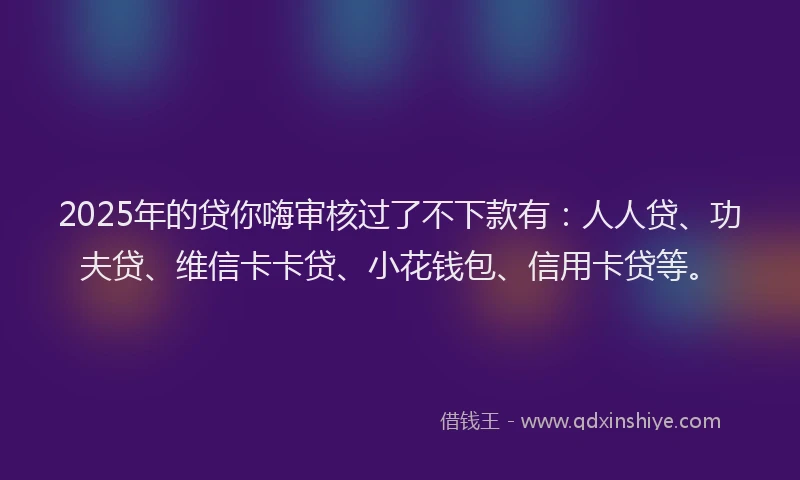 2025年的贷你嗨审核过了不下款有：人人贷、功夫贷、维信卡卡贷、小花钱包、信用卡贷等。