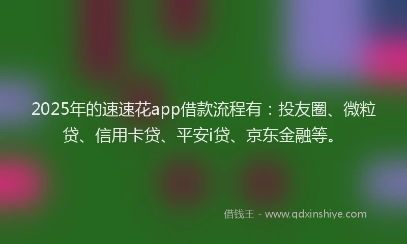 2025年的速速花app借款流程有：投友圈、微粒贷、信用卡贷、平安i贷、京东金融等。