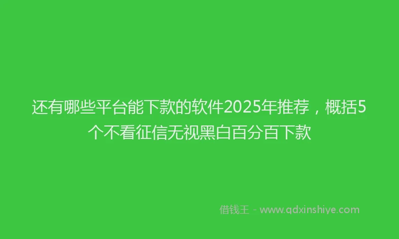 还有哪些平台能下款的软件2025年推荐，概括5个不看征信无视黑白百分百下款