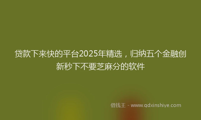 贷款下来快的平台2025年精选，归纳五个金融创新秒下不要芝麻分的软件