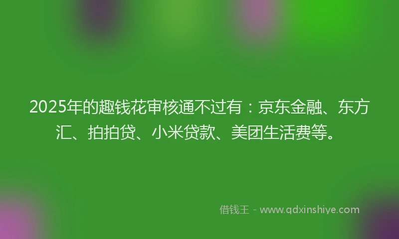 2025年的趣钱花审核通不过有：京东金融、东方汇、拍拍贷、小米贷款、美团生活费等。