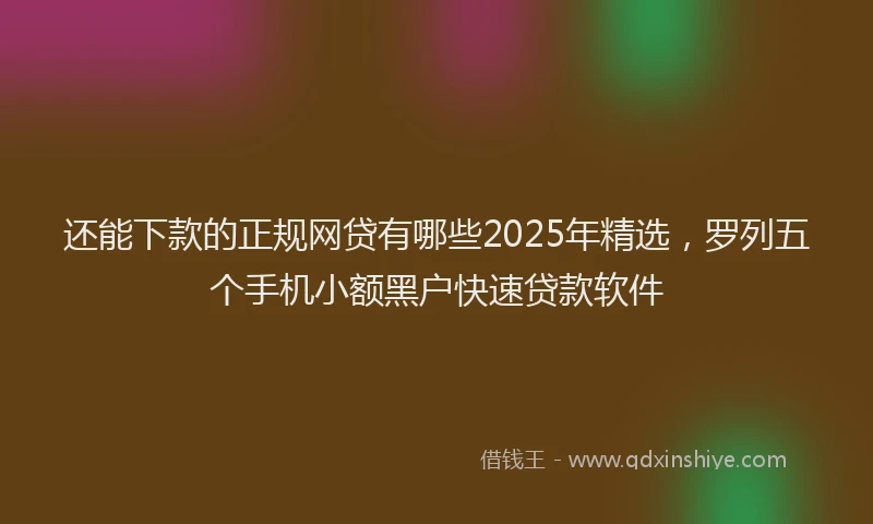 还能下款的正规网贷有哪些2025年精选，罗列五个手机小额黑户快速贷款软件