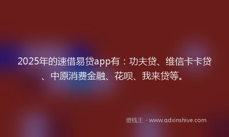 2025年的速借易贷app有：功夫贷、维信卡卡贷、中原消费金融、花呗、我来贷等。