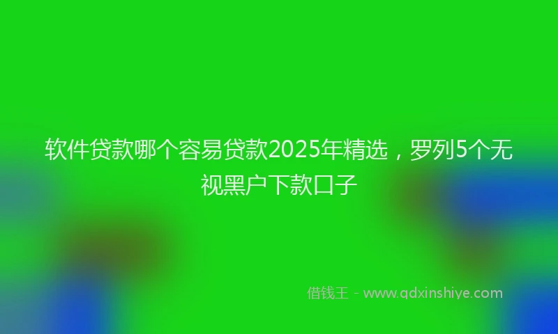 软件贷款哪个容易贷款2025年精选，罗列5个无视黑户下款口子