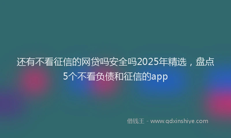 还有不看征信的网贷吗安全吗2025年精选，盘点5个不看负债和征信的app
