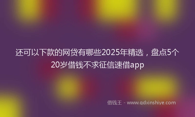 还可以下款的网贷有哪些2025年精选，盘点5个20岁借钱不求征信速借app