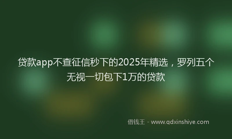 贷款app不查征信秒下的2025年精选，罗列五个无视一切包下1万的贷款