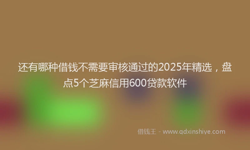 还有哪种借钱不需要审核通过的2025年精选，盘点5个芝麻信用600贷款软件