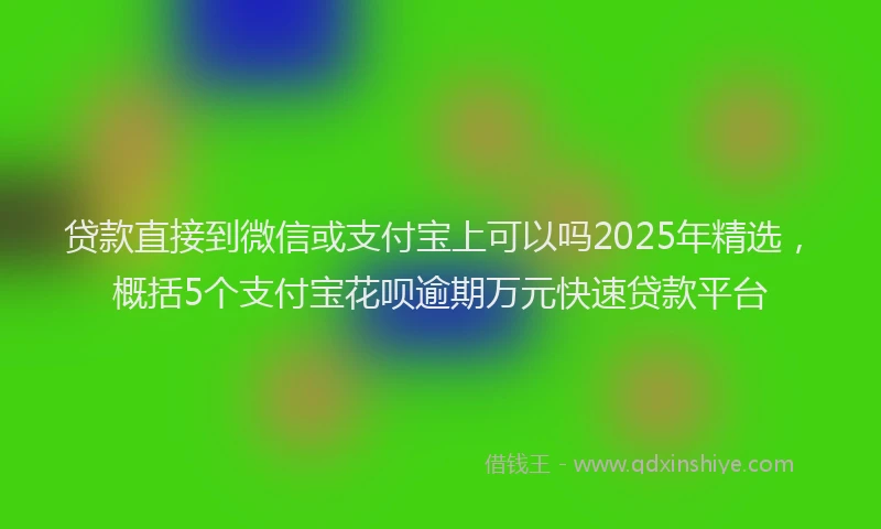 贷款直接到微信或支付宝上可以吗2025年精选，概括5个支付宝花呗逾期万元快速贷款平台