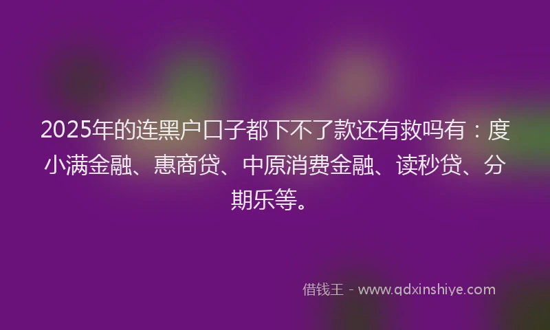 2025年的连黑户口子都下不了款还有救吗有：度小满金融、惠商贷、中原消费金融、读秒贷、分期乐等。