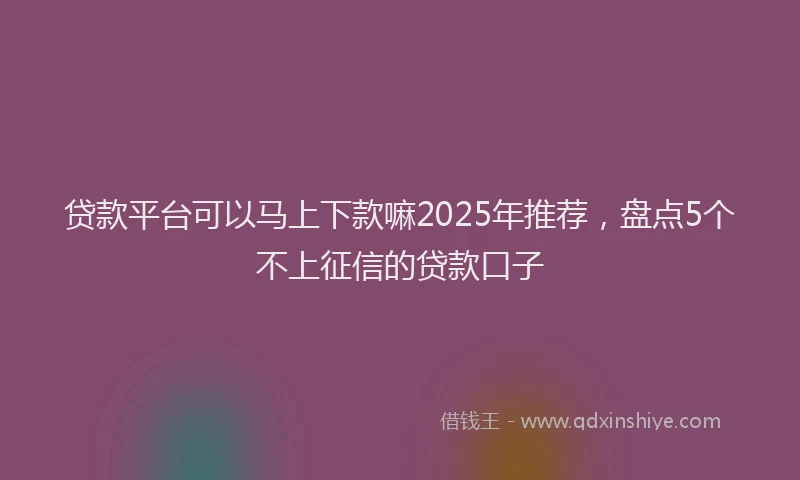 贷款平台可以马上下款嘛2025年推荐，盘点5个不上征信的贷款口子