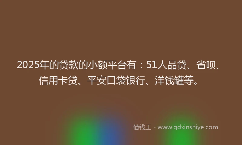 2025年的贷款的小额平台有：51人品贷、省呗、信用卡贷、平安口袋银行、洋钱罐等。