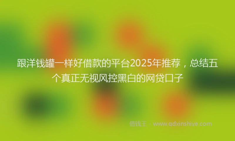 跟洋钱罐一样好借款的平台2025年推荐，总结五个真正无视风控黑白的网贷口子