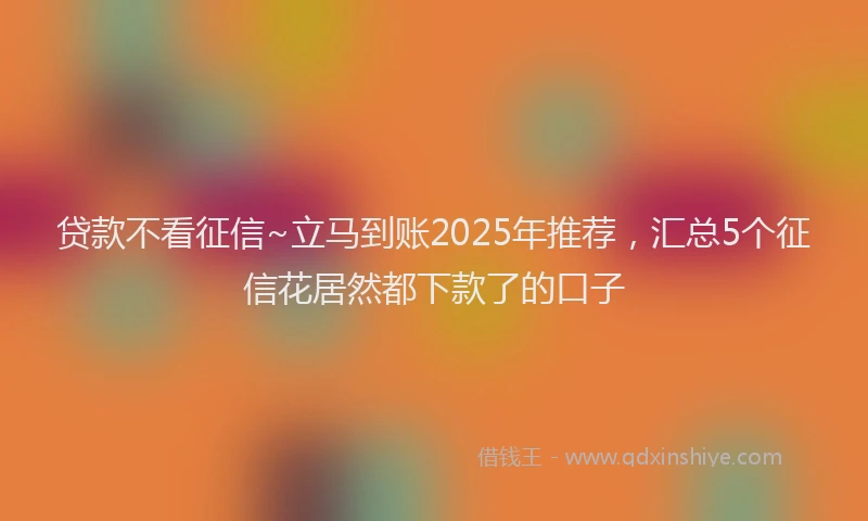 贷款不看征信~立马到账2025年推荐，汇总5个征信花居然都下款了的口子