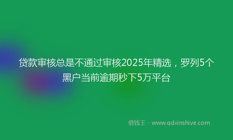 贷款审核总是不通过审核2025年精选，罗列5个黑户当前逾期秒下5万平台