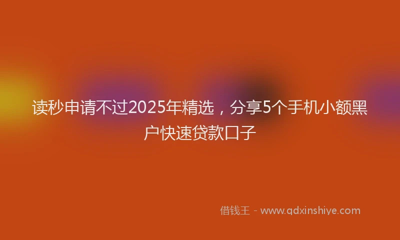 读秒申请不过2025年精选，分享5个手机小额黑户快速贷款口子