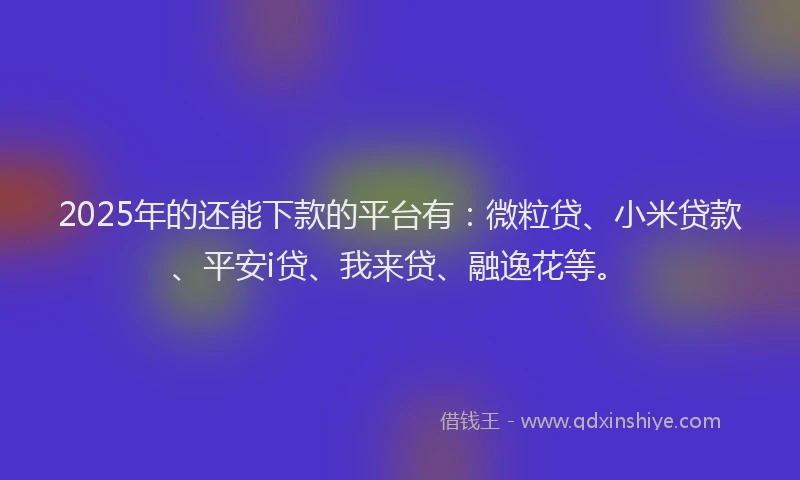 2025年的还能下款的平台有：微粒贷、小米贷款、平安i贷、我来贷、融逸花等。