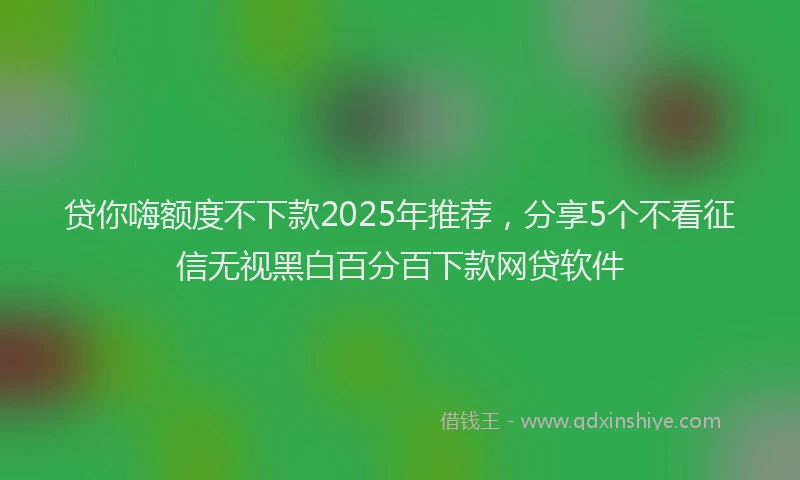 贷你嗨额度不下款2025年推荐，分享5个不看征信无视黑白百分百下款网贷软件