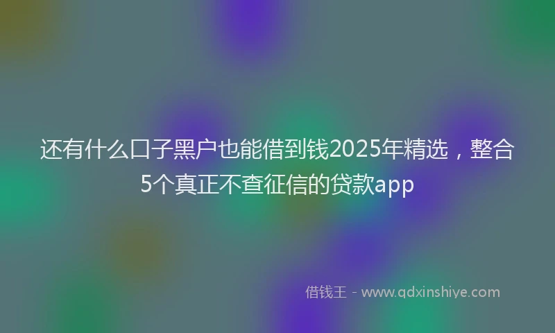还有什么口子黑户也能借到钱2025年精选，整合5个真正不查征信的贷款app