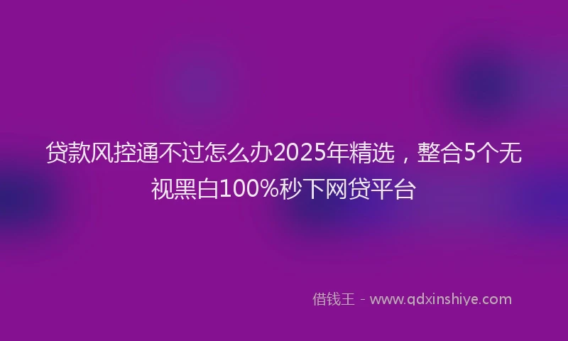 贷款风控通不过怎么办2025年精选，整合5个无视黑白100%秒下网贷平台