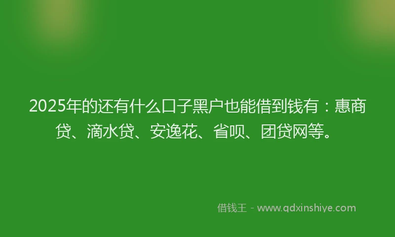 2025年的还有什么口子黑户也能借到钱有：惠商贷、滴水贷、安逸花、省呗、团贷网等。