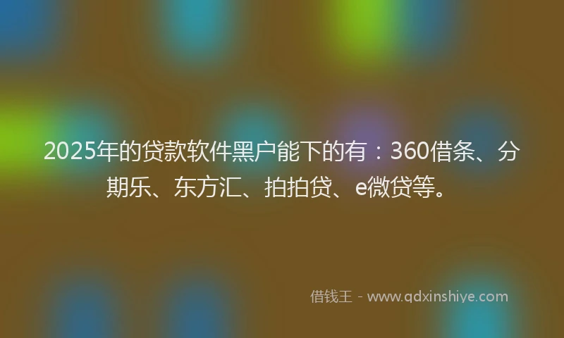 2025年的贷款软件黑户能下的有：360借条、分期乐、东方汇、拍拍贷、e微贷等。
