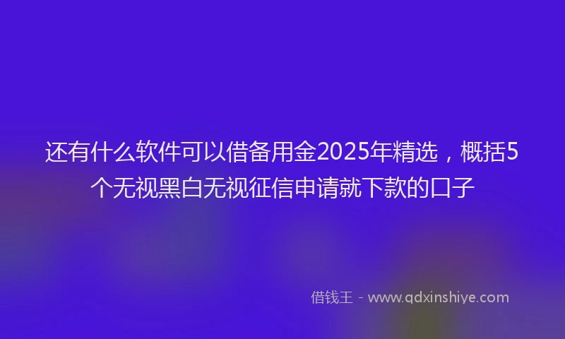 还有什么软件可以借备用金2025年精选，概括5个无视黑白无视征信申请就下款的口子