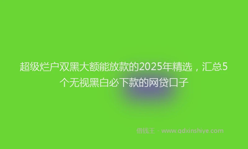 超级烂户双黑大额能放款的2025年精选，汇总5个无视黑白必下款的网贷口子