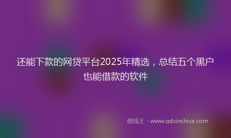 还能下款的网贷平台2025年精选，总结五个黑户也能借款的软件