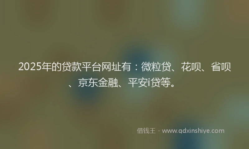 2025年的贷款平台网址有：微粒贷、花呗、省呗、京东金融、平安i贷等。