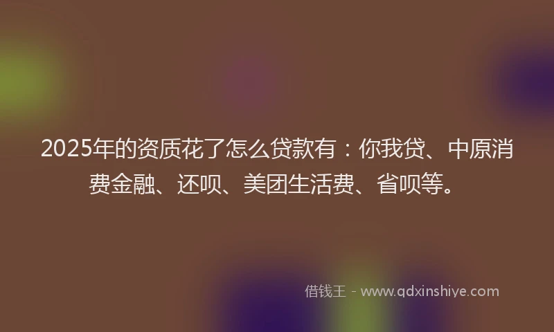 2025年的资质花了怎么贷款有：你我贷、中原消费金融、还呗、美团生活费、省呗等。