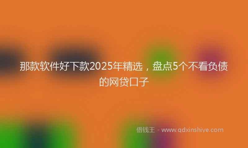 那款软件好下款2025年精选，盘点5个不看负债的网贷口子