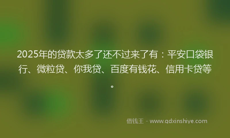 2025年的贷款太多了还不过来了有：平安口袋银行、微粒贷、你我贷、百度有钱花、信用卡贷等。