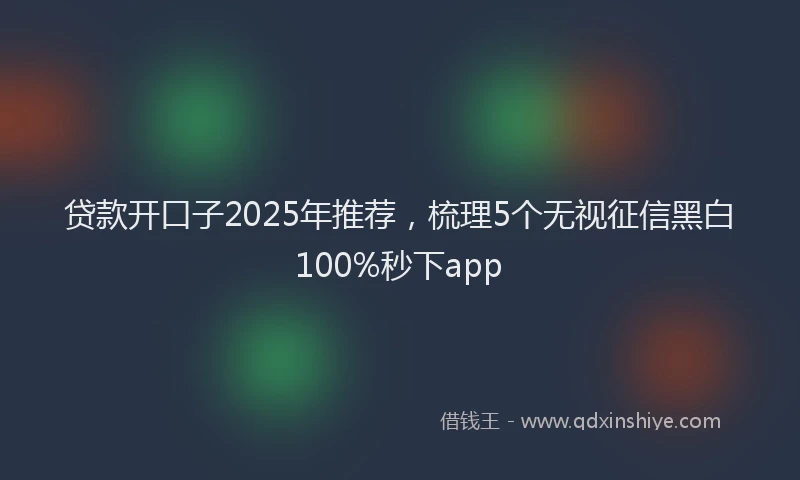 贷款开口子2025年推荐，梳理5个无视征信黑白100%秒下app