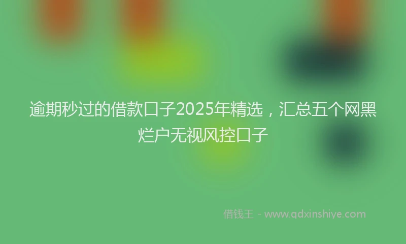 逾期秒过的借款口子2025年精选，汇总五个网黑烂户无视风控口子