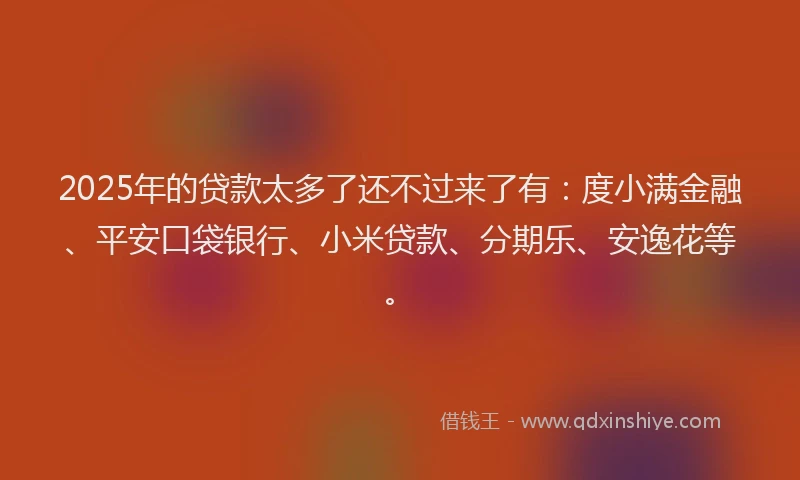 2025年的贷款太多了还不过来了有：度小满金融、平安口袋银行、小米贷款、分期乐、安逸花等。