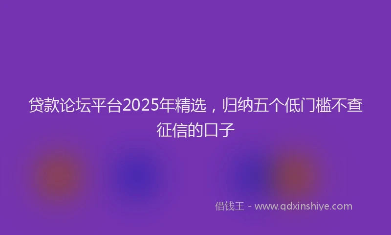 贷款论坛平台2025年精选，归纳五个低门槛不查征信的口子