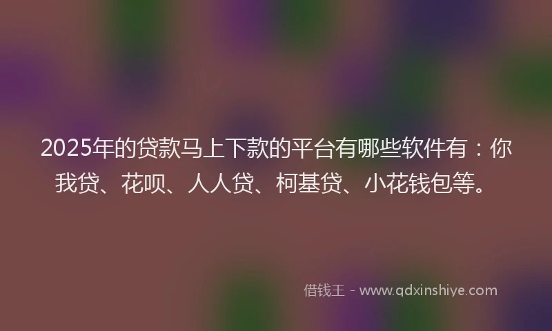 2025年的贷款马上下款的平台有哪些软件有：你我贷、花呗、人人贷、柯基贷、小花钱包等。