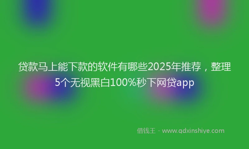 贷款马上能下款的软件有哪些2025年推荐，整理5个无视黑白100%秒下网贷app