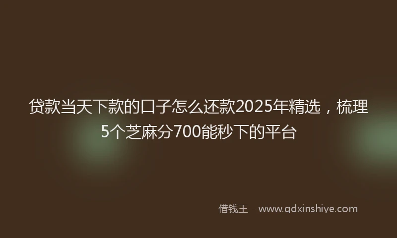 贷款当天下款的口子怎么还款2025年精选，梳理5个芝麻分700能秒下的平台