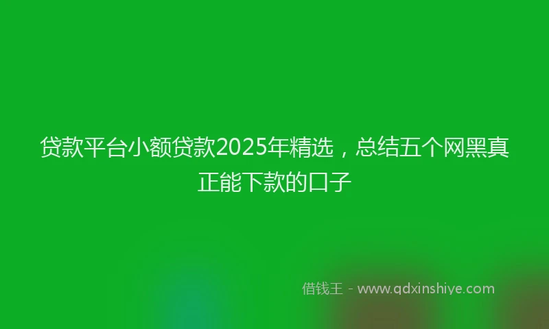 贷款平台小额贷款2025年精选，总结五个网黑真正能下款的口子