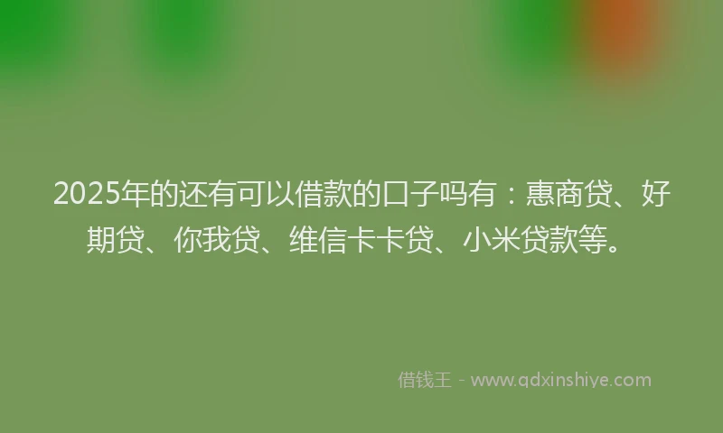 2025年的还有可以借款的口子吗有：惠商贷、好期贷、你我贷、维信卡卡贷、小米贷款等。