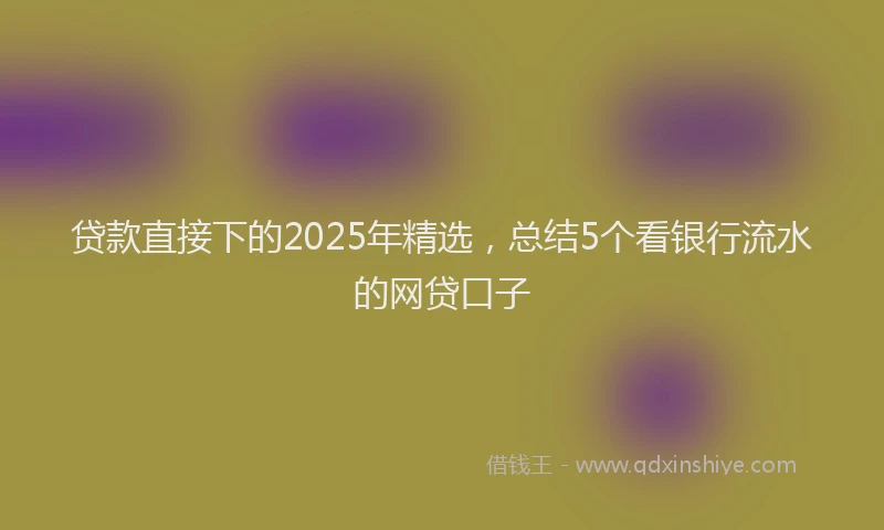 贷款直接下的2025年精选，总结5个看银行流水的网贷口子