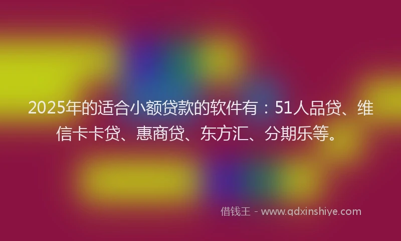 2025年的适合小额贷款的软件有：51人品贷、维信卡卡贷、惠商贷、东方汇、分期乐等。