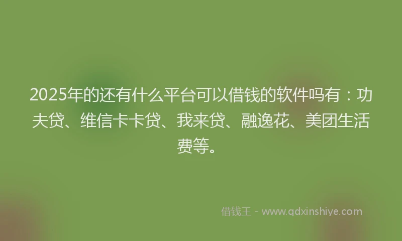 2025年的还有什么平台可以借钱的软件吗有：功夫贷、维信卡卡贷、我来贷、融逸花、美团生活费等。