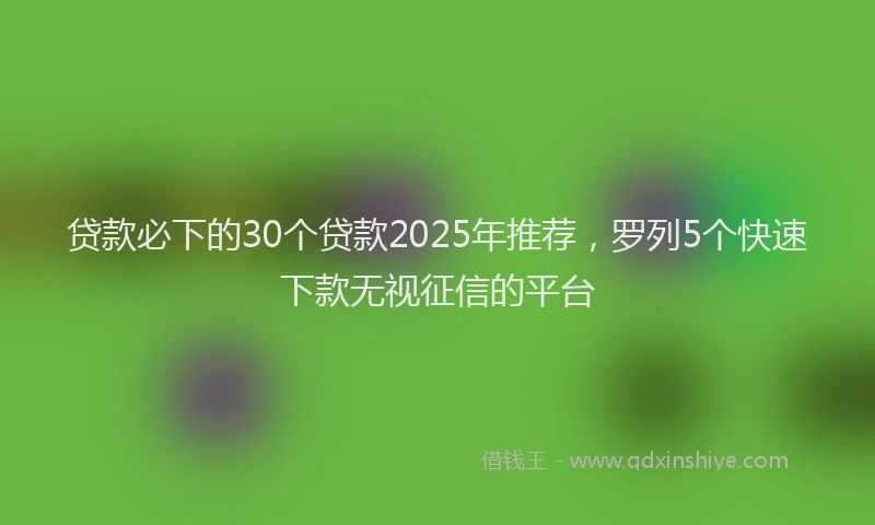 贷款必下的30个贷款2025年推荐，罗列5个快速下款无视征信的平台
