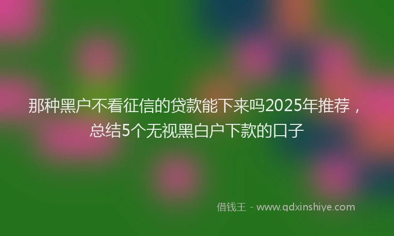 那种黑户不看征信的贷款能下来吗2025年推荐，总结5个无视黑白户下款的口子