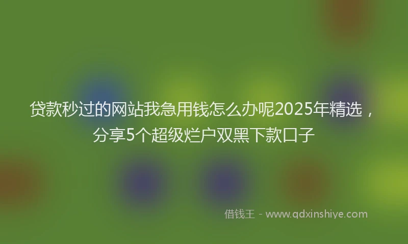 贷款秒过的网站我急用钱怎么办呢2025年精选，分享5个超级烂户双黑下款口子