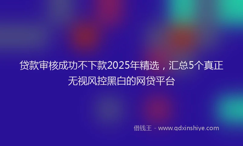 贷款审核成功不下款2025年精选，汇总5个真正无视风控黑白的网贷平台