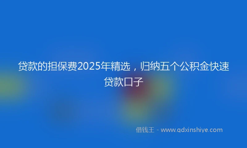 贷款的担保费2025年精选，归纳五个公积金快速贷款口子
